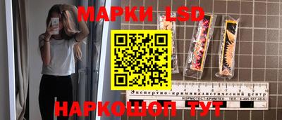 крисы Можга