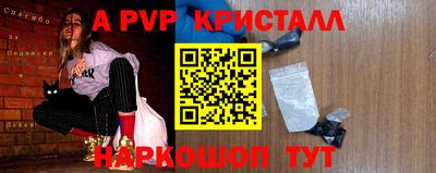 крисы Можга