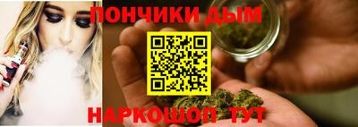 крисы Можга
