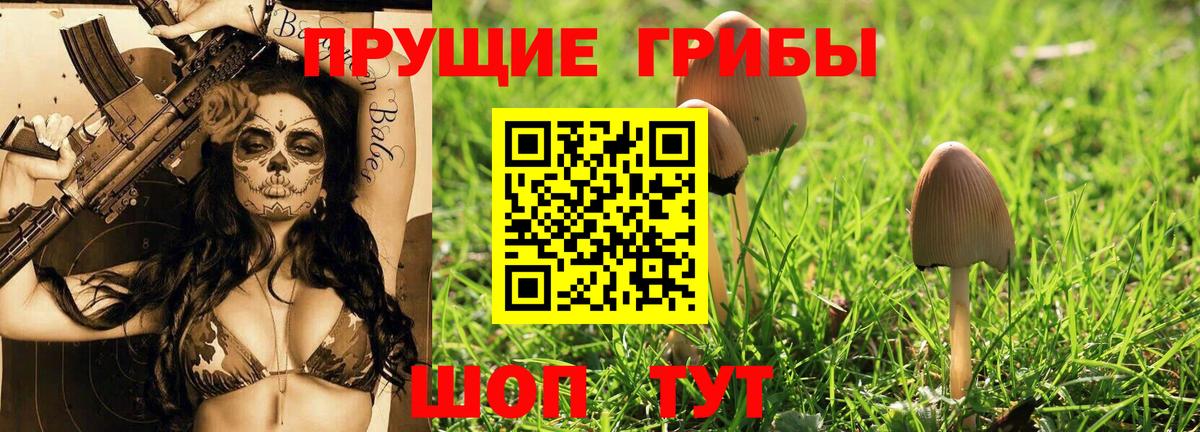 Псилоцибиновые грибы MAGIC MUSHROOMS  Вход с VPN  Псилоцибиновые грибы MAGIC MUSHROOMS  Феодосия 